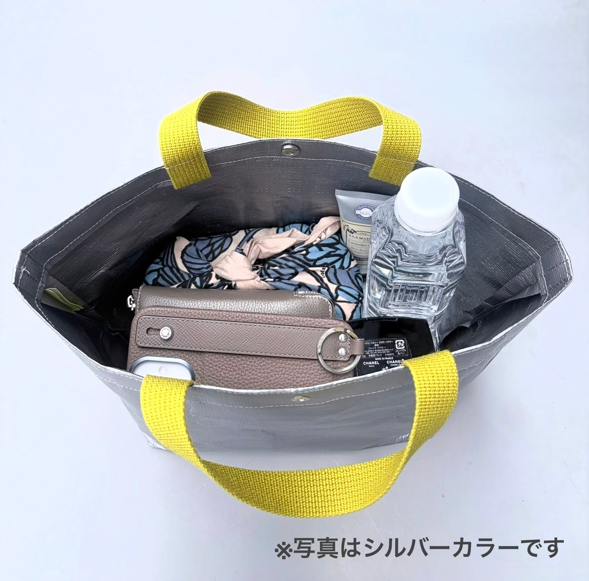 [DGY] patera.M