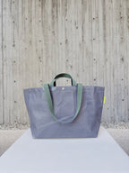 [DGY] patera.L